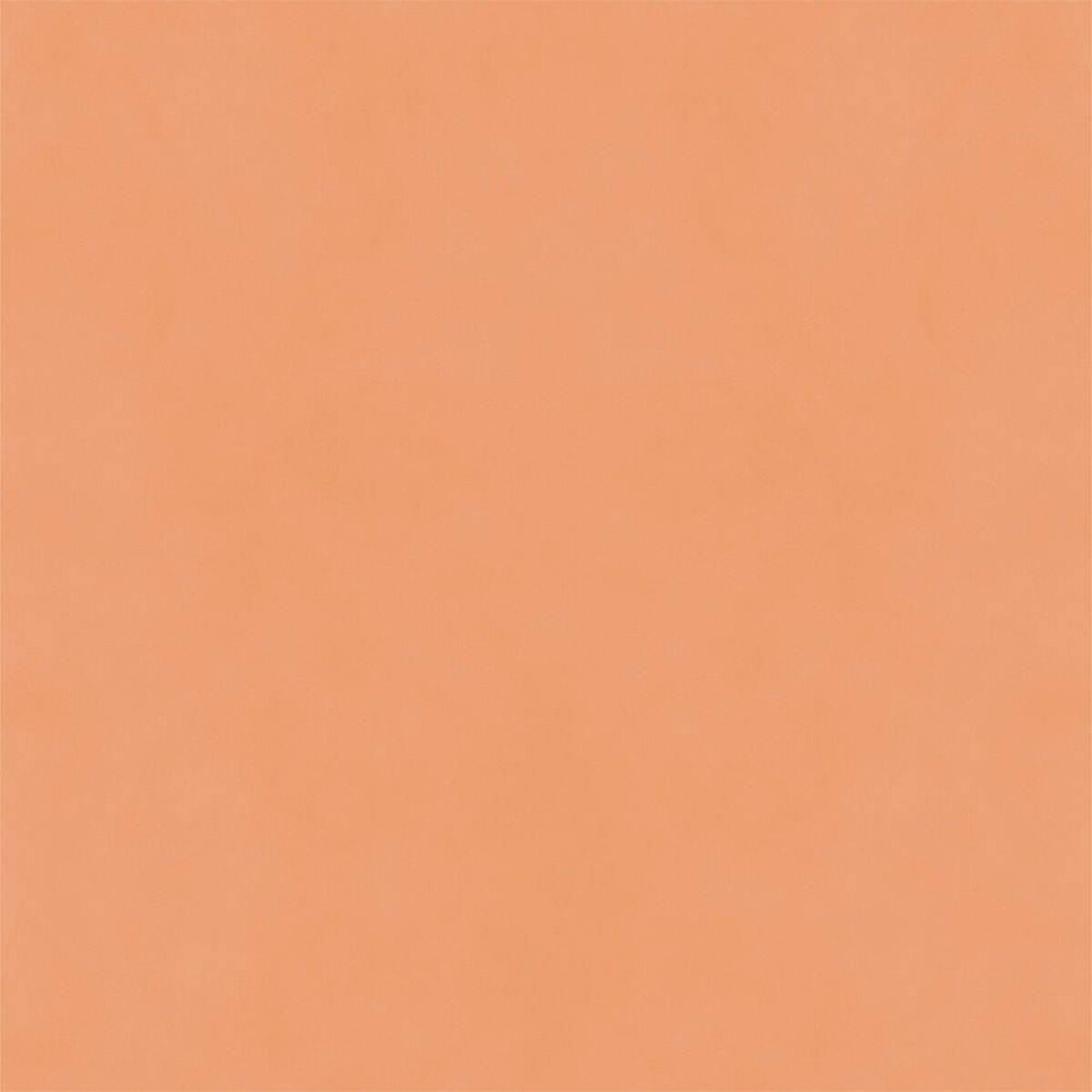 Hatte Me! Palette | 22 Usu Daidai Hatte Me! Palette | 22 Usu Daidai