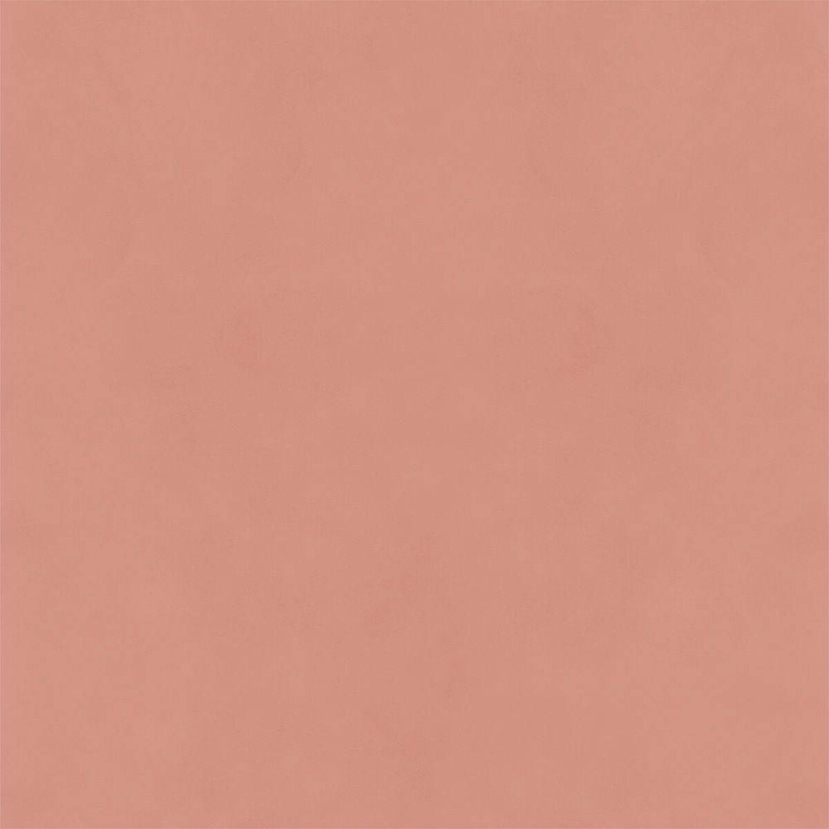 Hatte Me! Palette | 26 Coral Hatte Me! Palette | 26 Coral
