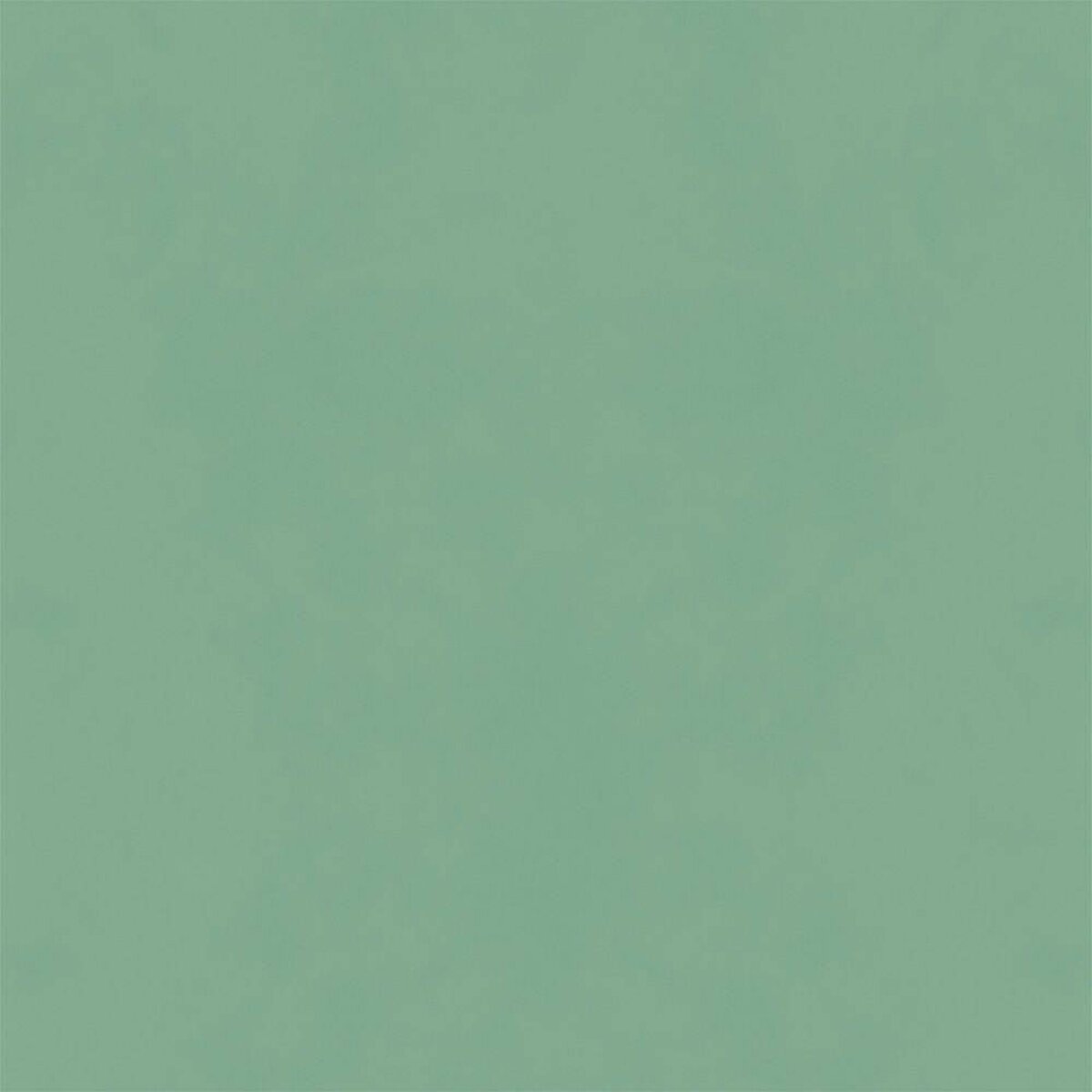 Hatte Me! Palette | 48 Eucalyptus Hatte Me! Palette | 48 Eucalyptus