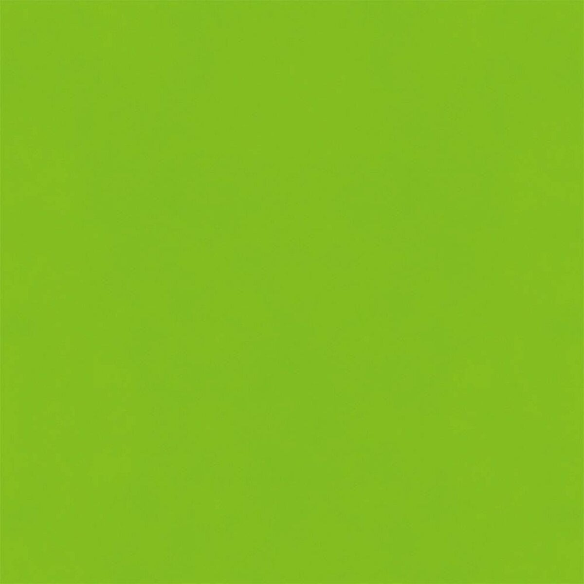 Hatte Me! Palette | 65 Lime Green Hatte Me! Palette | 65 Lime Green