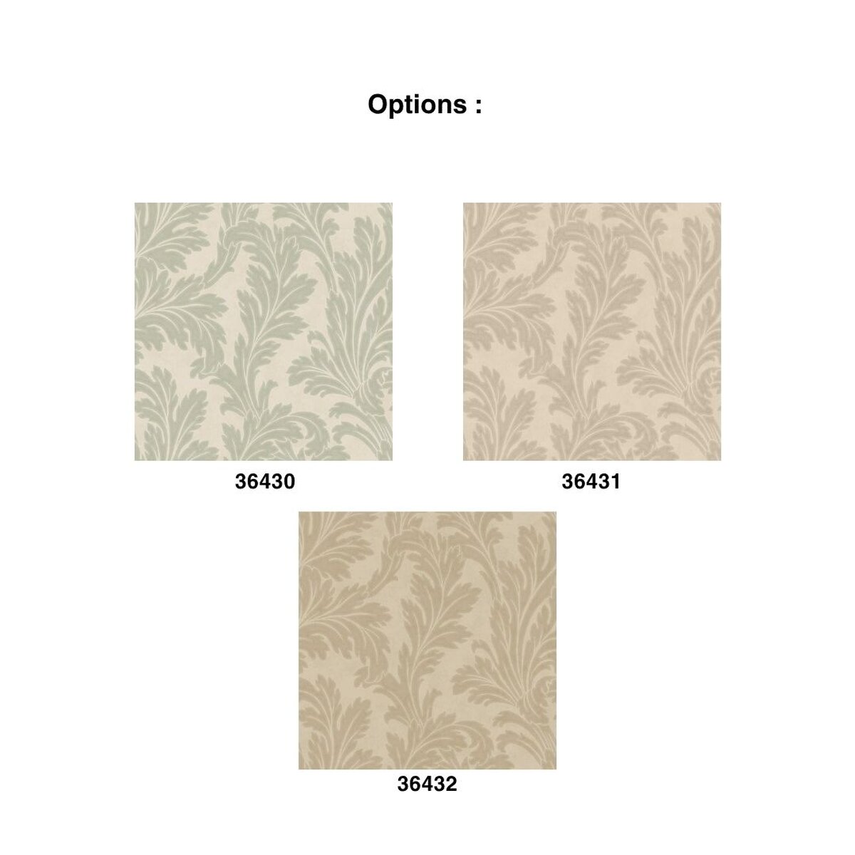 Holden | Eleganza | Acanthus Holden | Eleganza | Acanthus