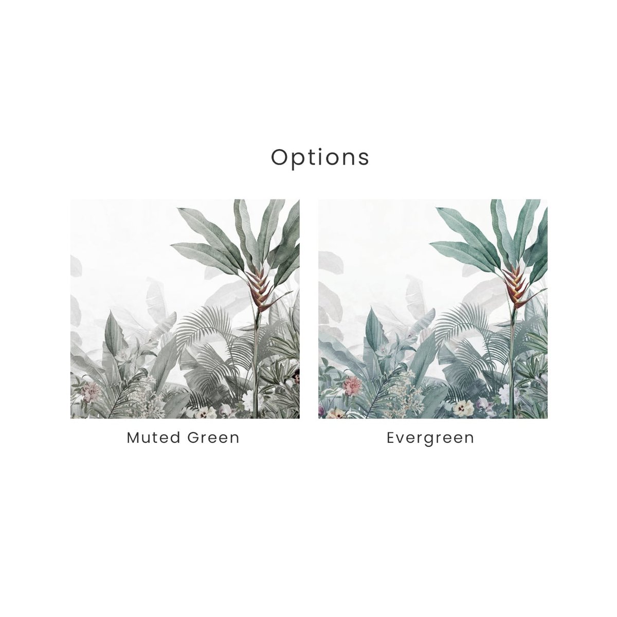 Honpo | Alluring Nature Honpo | Alluring Nature