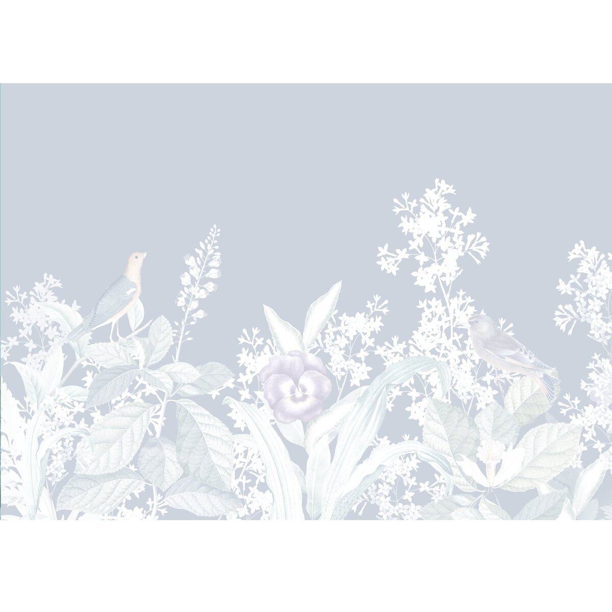 Honpo | Arbitrary of Nature Honpo | Arbitrary of Nature