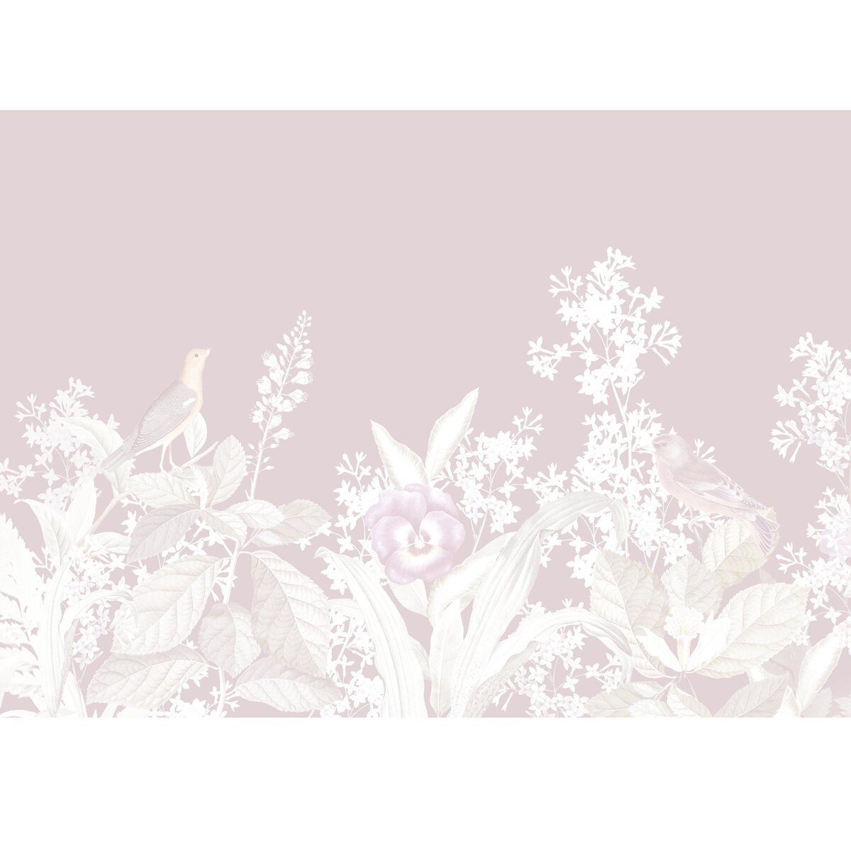 Honpo | Arbitrary of Nature Honpo | Arbitrary of Nature
