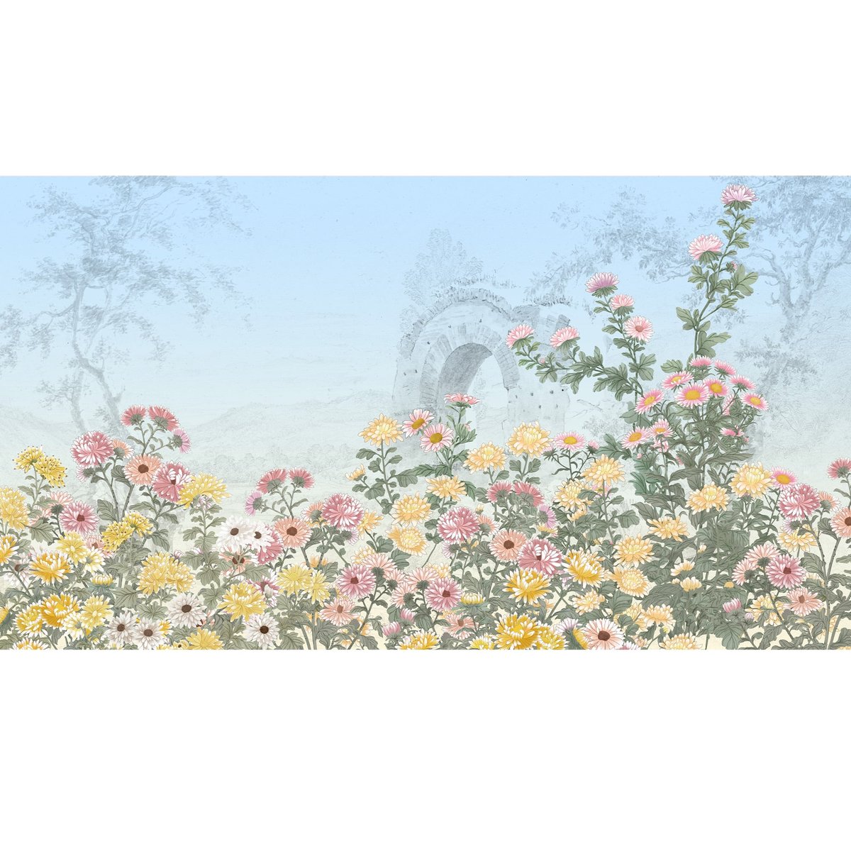 Honpo | Chrysanthemum Embrace Honpo | Chrysanthemum Embrace