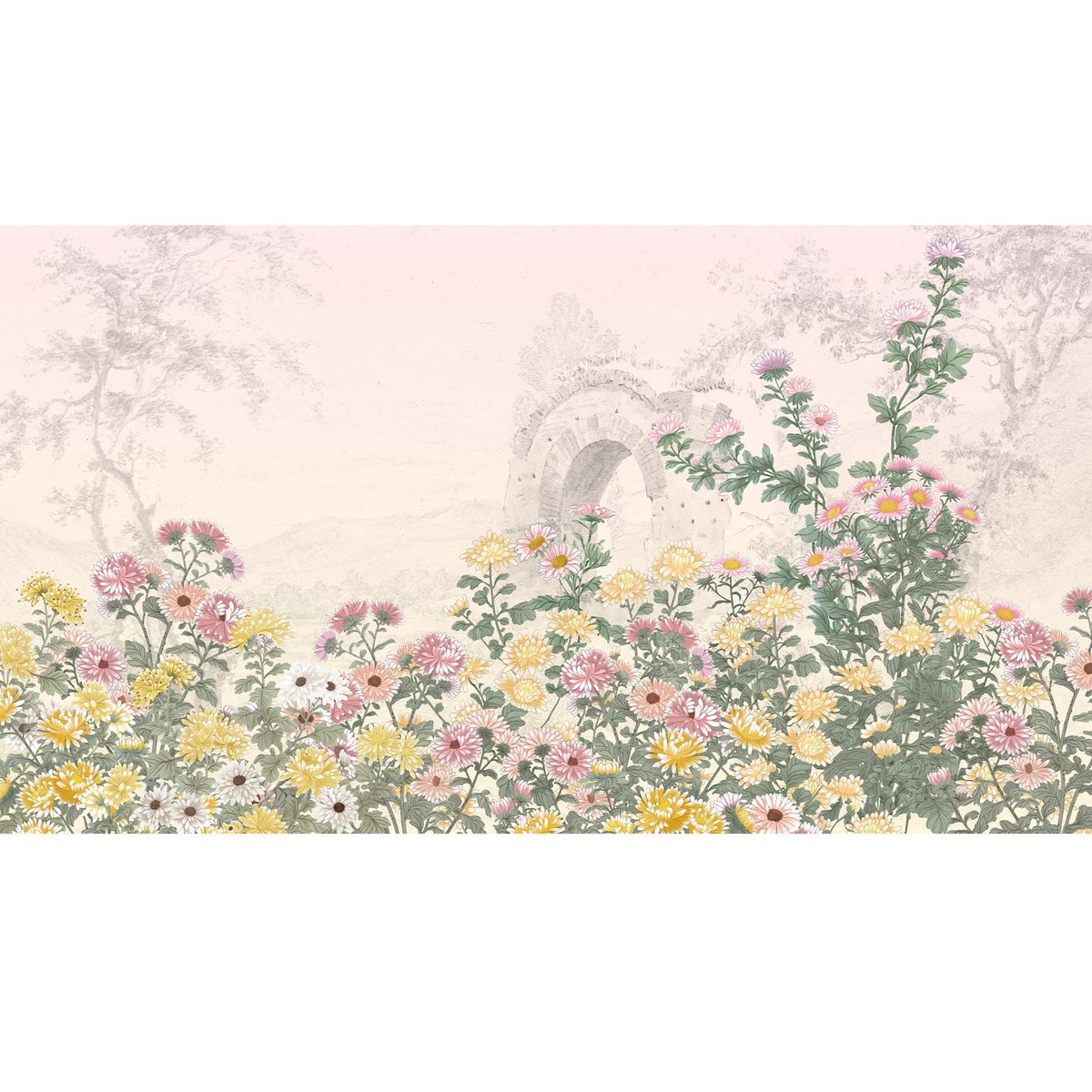 Honpo | Chrysanthemum Embrace Honpo | Chrysanthemum Embrace