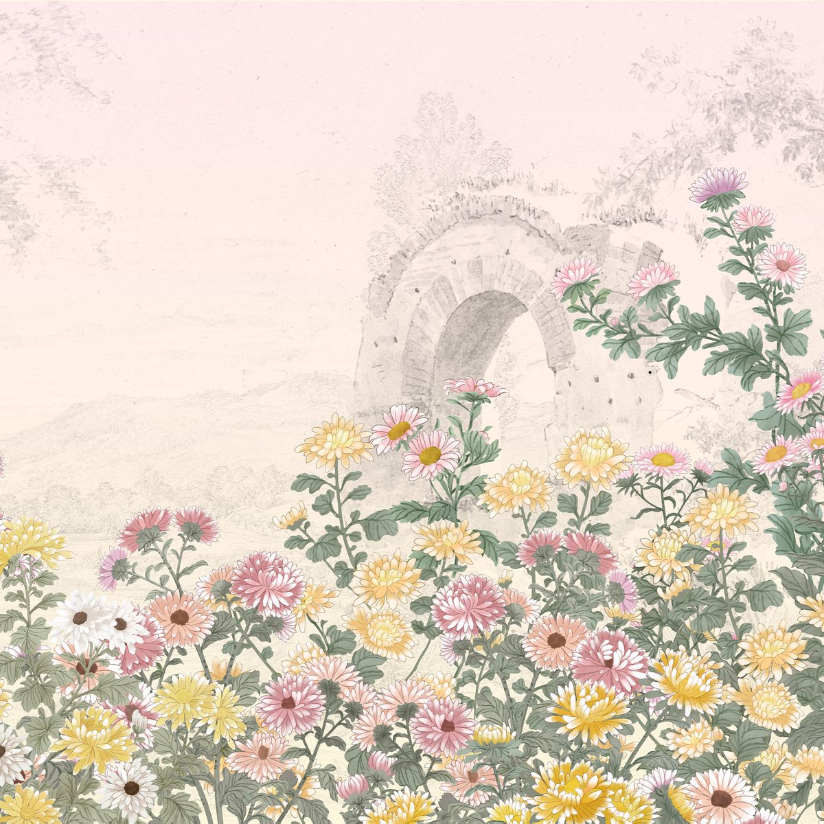 Honpo | Chrysanthemum Embrace Honpo | Chrysanthemum Embrace