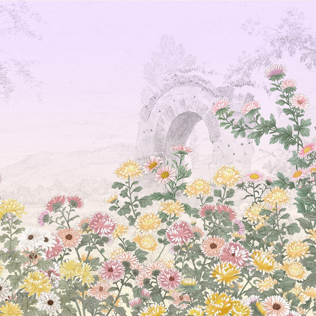 Honpo | Chrysanthemum Embrace Honpo | Chrysanthemum Embrace