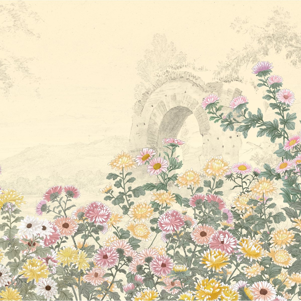 Honpo | Chrysanthemum Embrace Honpo | Chrysanthemum Embrace