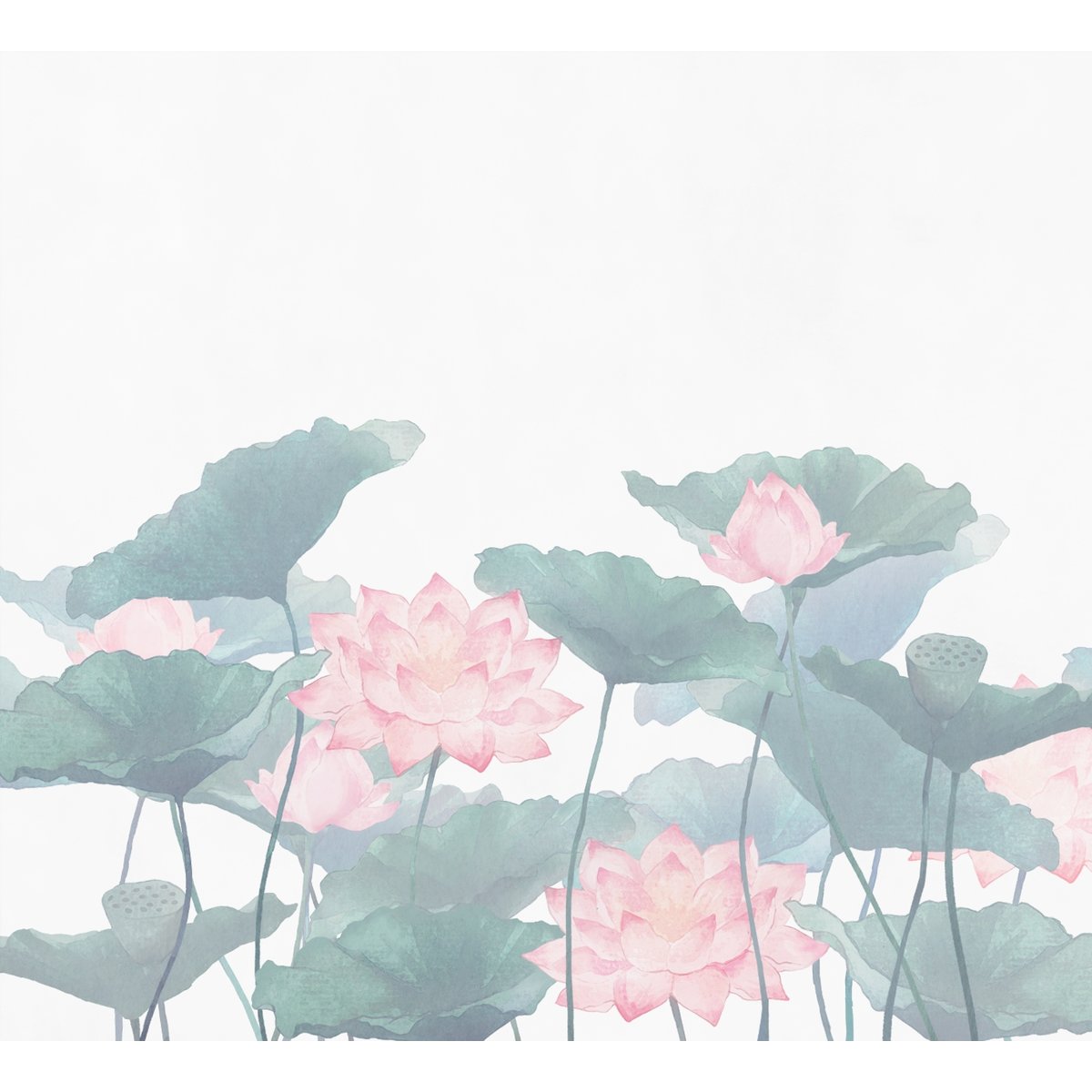 Honpo | Lotus Garden | HO-0063 Honpo | Lotus Garden | HO-0063