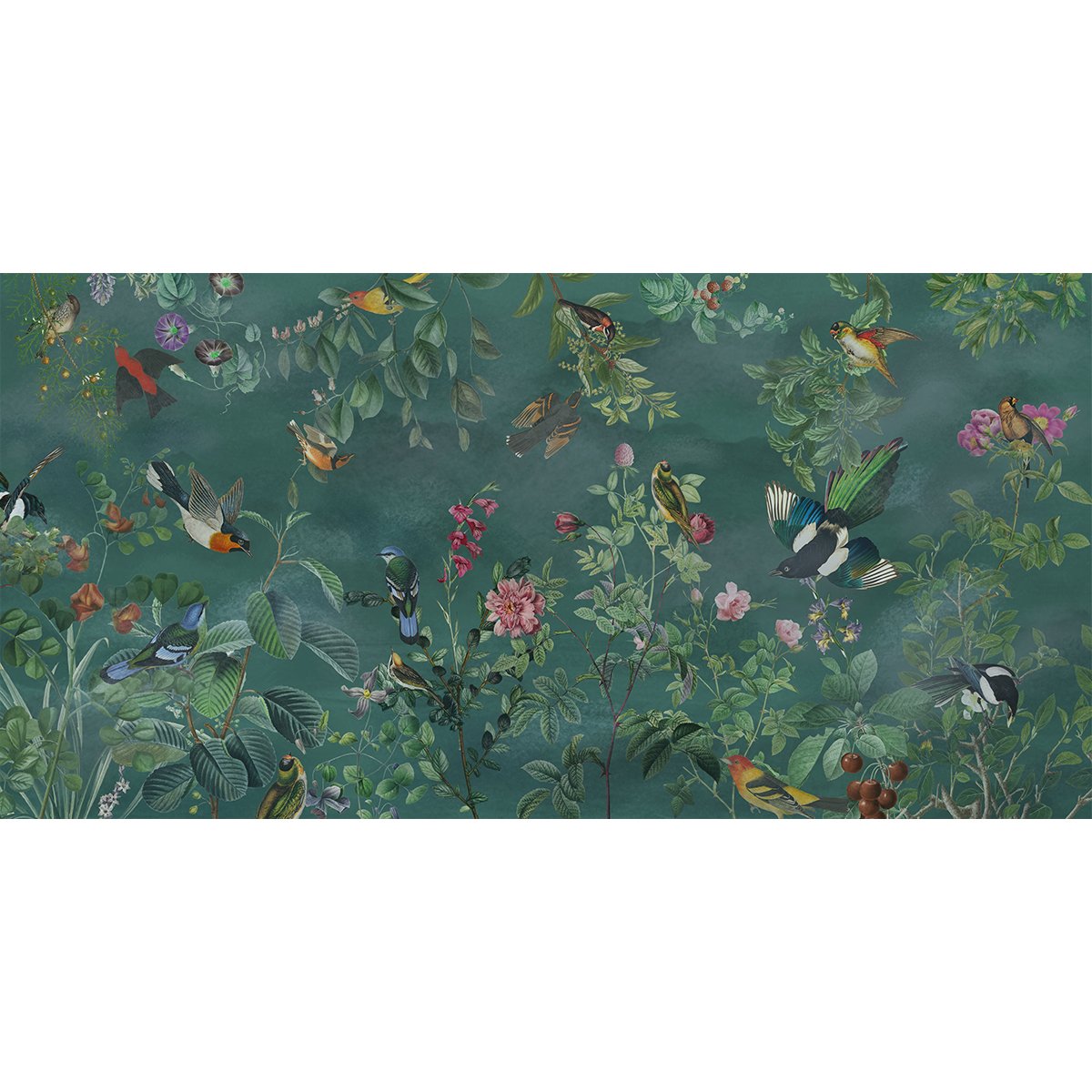 Honpo | Aviary Bliss Honpo | Aviary Bliss