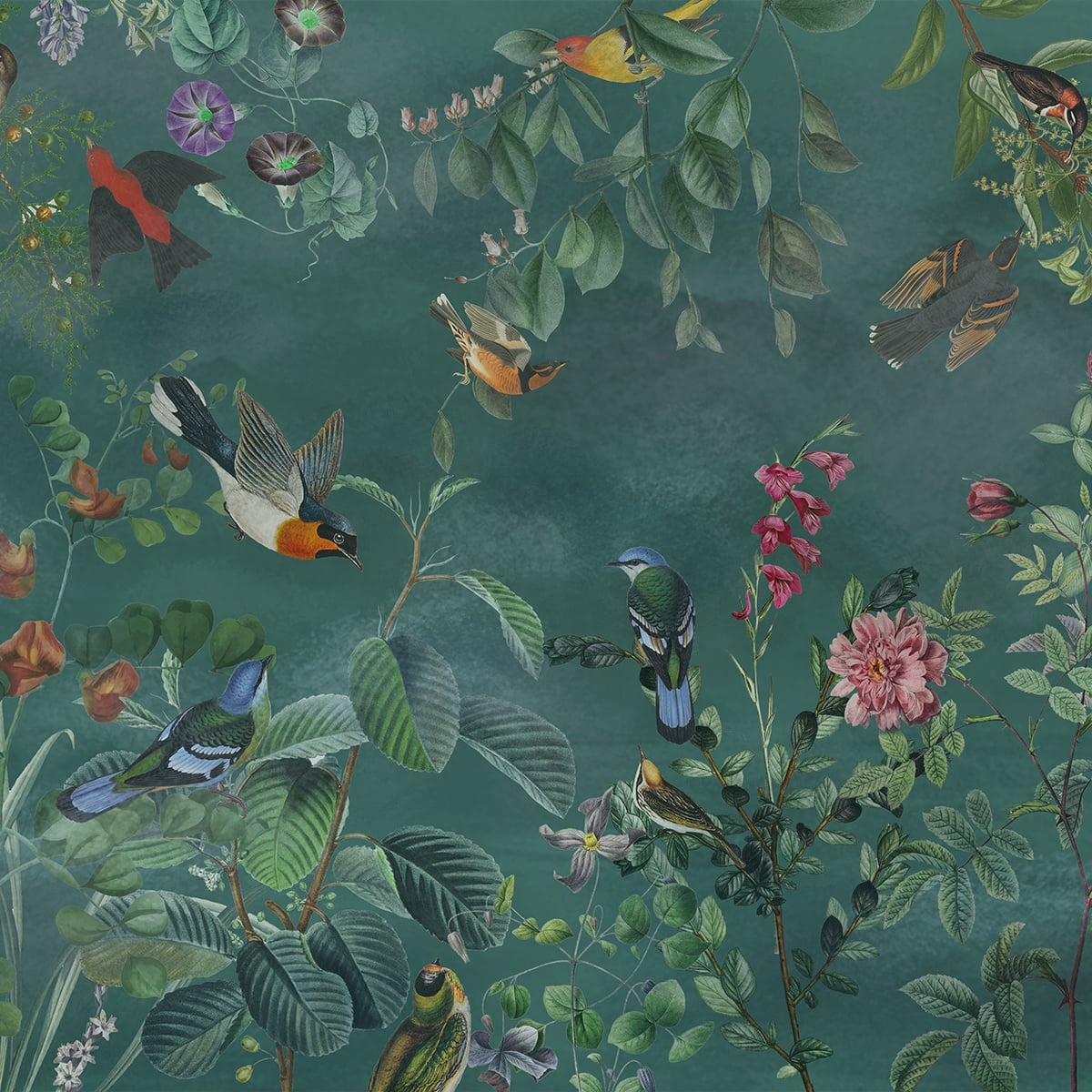 Honpo | Aviary Bliss Honpo | Aviary Bliss