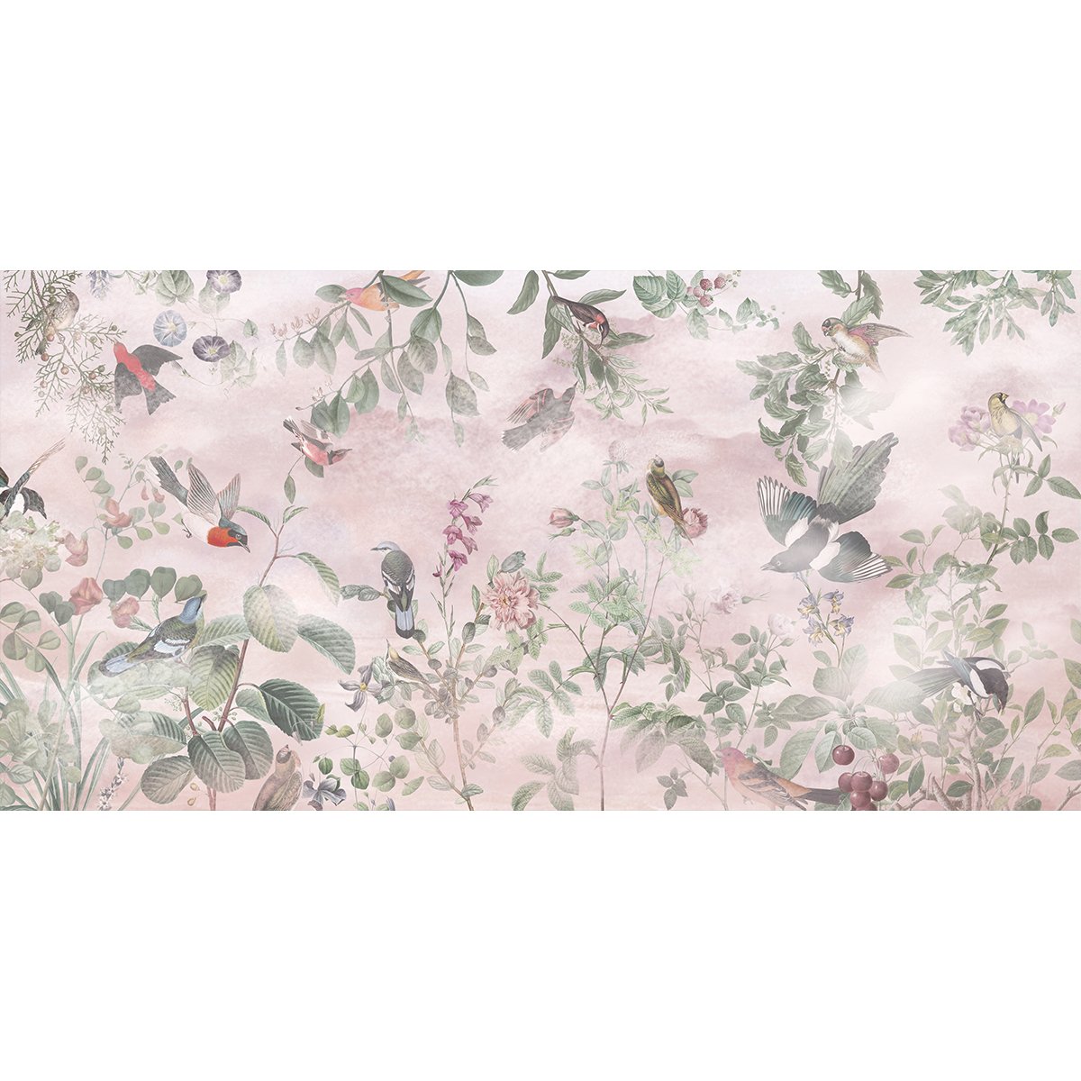 Honpo | Aviary Bliss Honpo | Aviary Bliss