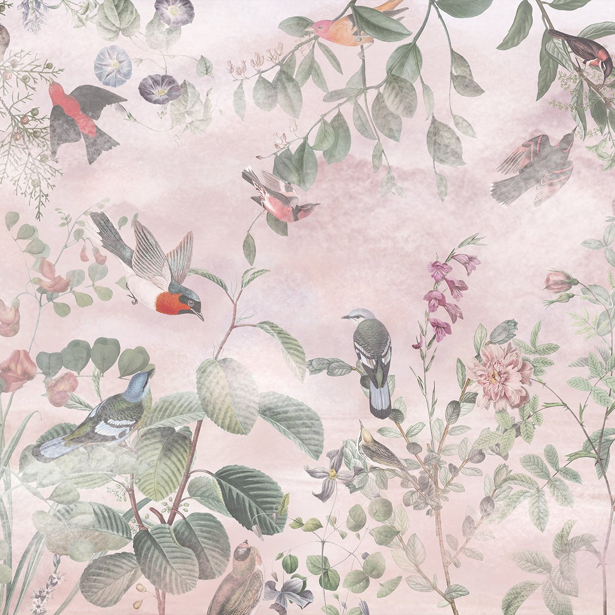 Honpo | Aviary Bliss Honpo | Aviary Bliss