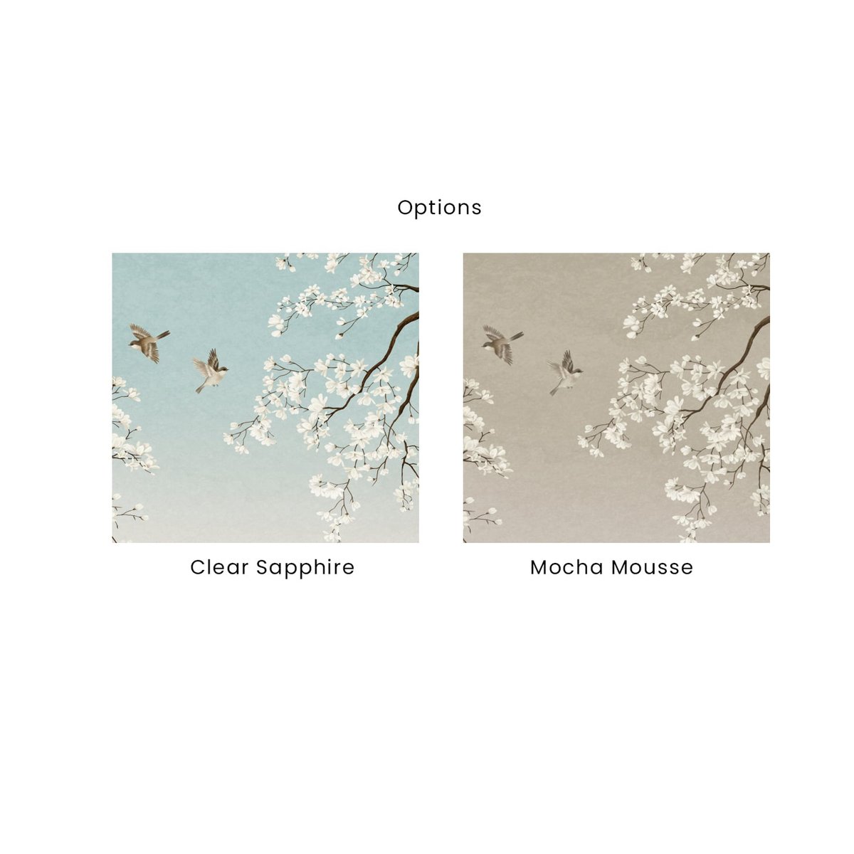 Honpo | Indulgence in Spring Honpo | Indulgence in Spring