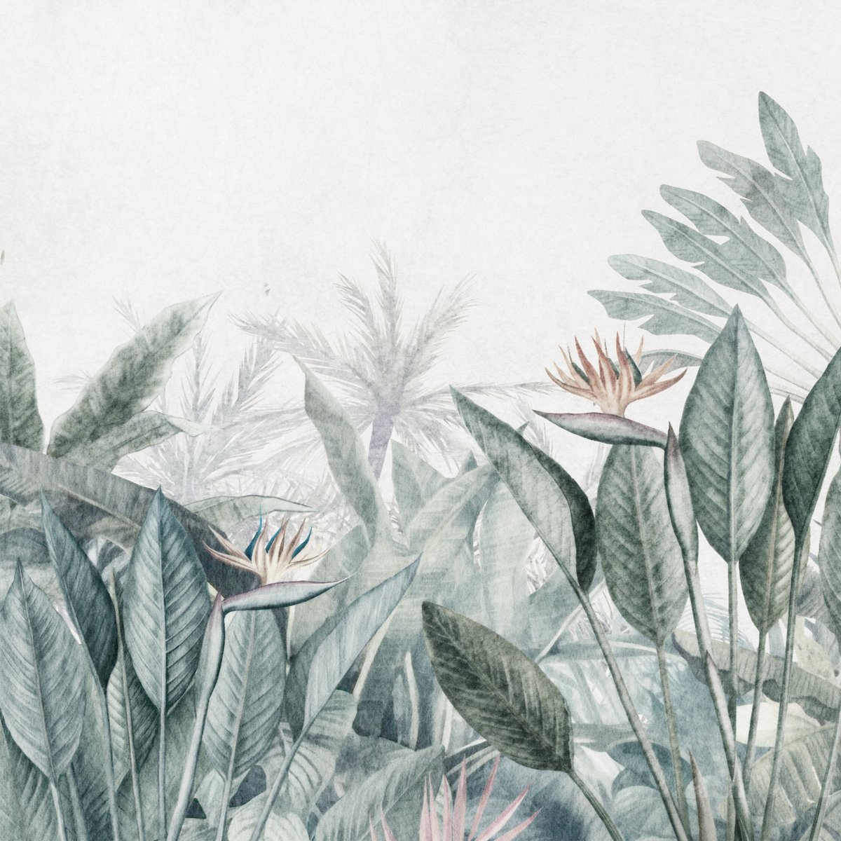 Honpo | Isle of Summer | HO-0058 Honpo | Isle of Summer | HO-0058