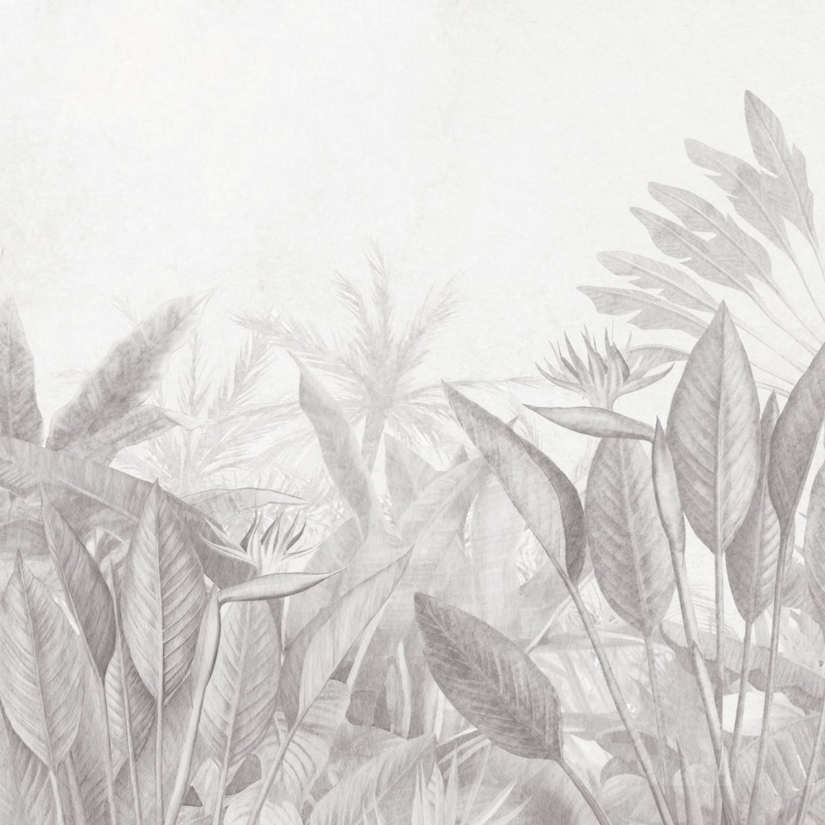 Honpo | Isle of Summer | HO-0058 Honpo | Isle of Summer | HO-0058