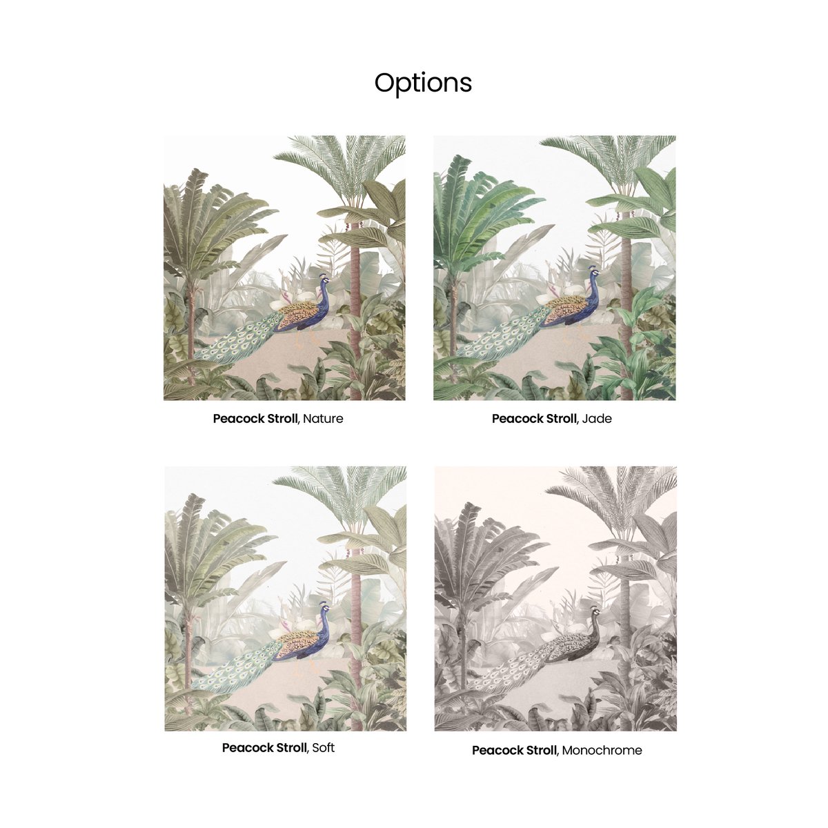 Honpo | Peacock Stroll | HO-004 Honpo | Peacock Stroll | HO-004