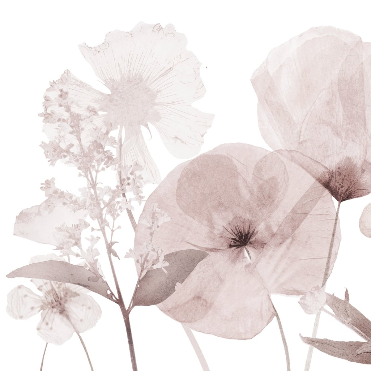 Honpo | Petals Flow | HO-0076 Honpo | Petals Flow | HO-0076