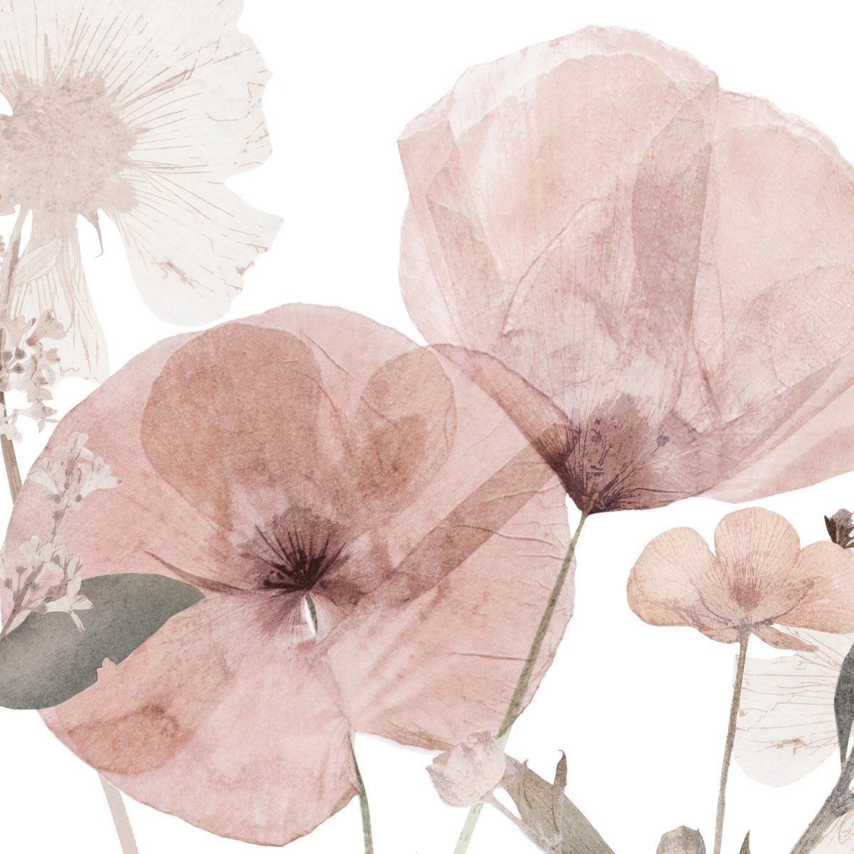 Honpo | Petals Flow | HO-0076 Honpo | Petals Flow | HO-0076