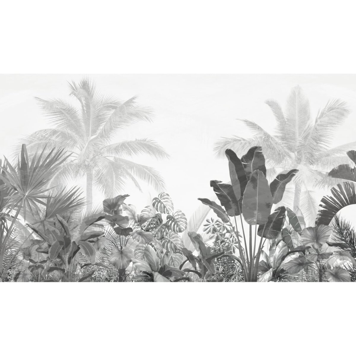 Honpo | Tropical Evanesce Honpo | Tropical Evanesce