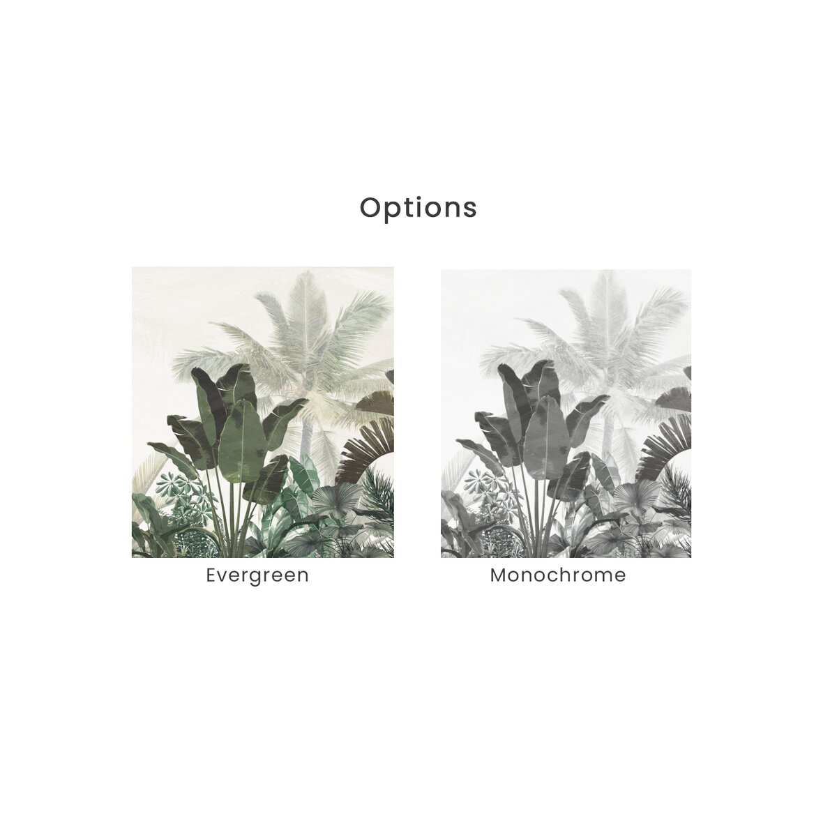 Honpo | Tropical Evanesce Honpo | Tropical Evanesce
