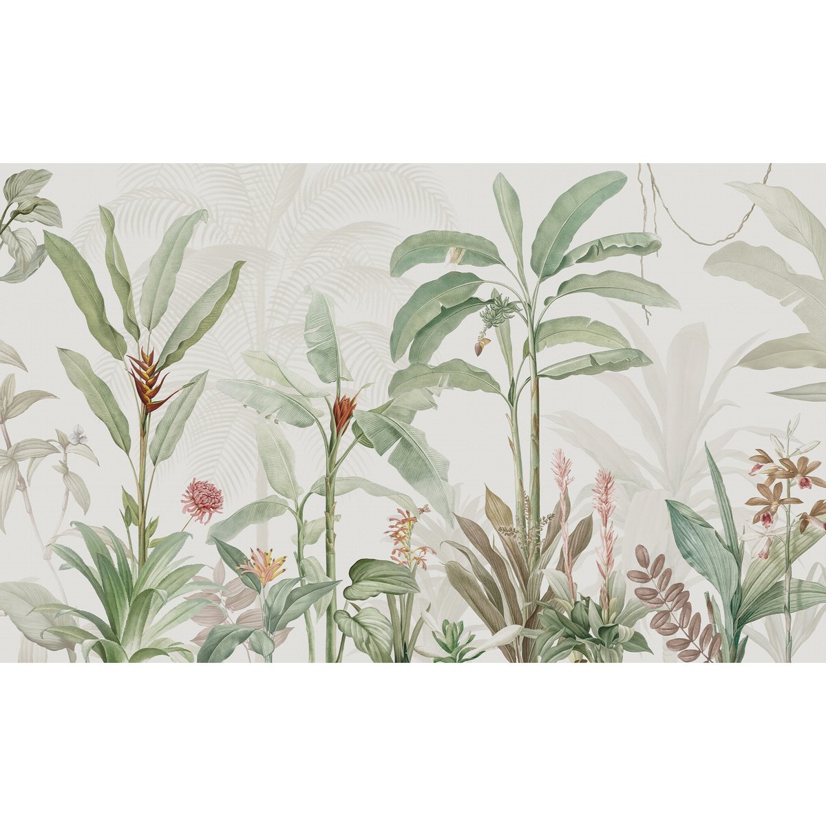 Honpo | Tropical Garden Honpo | Tropical Garden