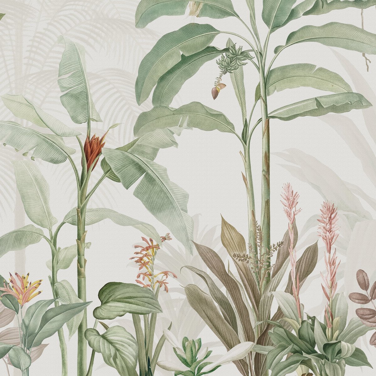 Honpo | Tropical Garden Honpo | Tropical Garden