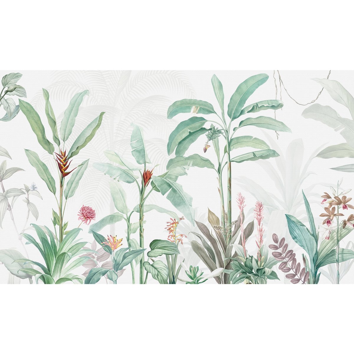 Honpo | Tropical Garden Honpo | Tropical Garden