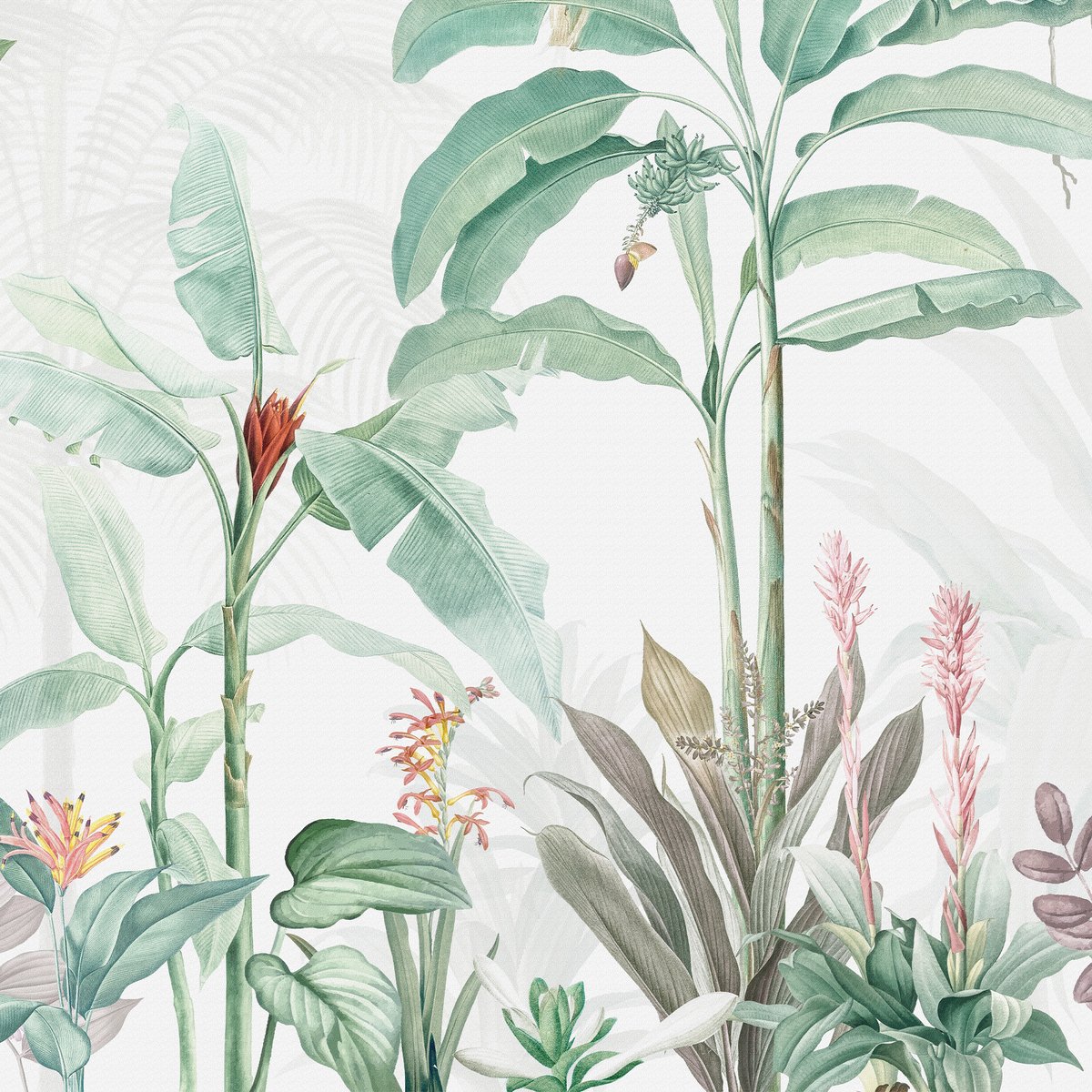 Honpo | Tropical Garden Honpo | Tropical Garden