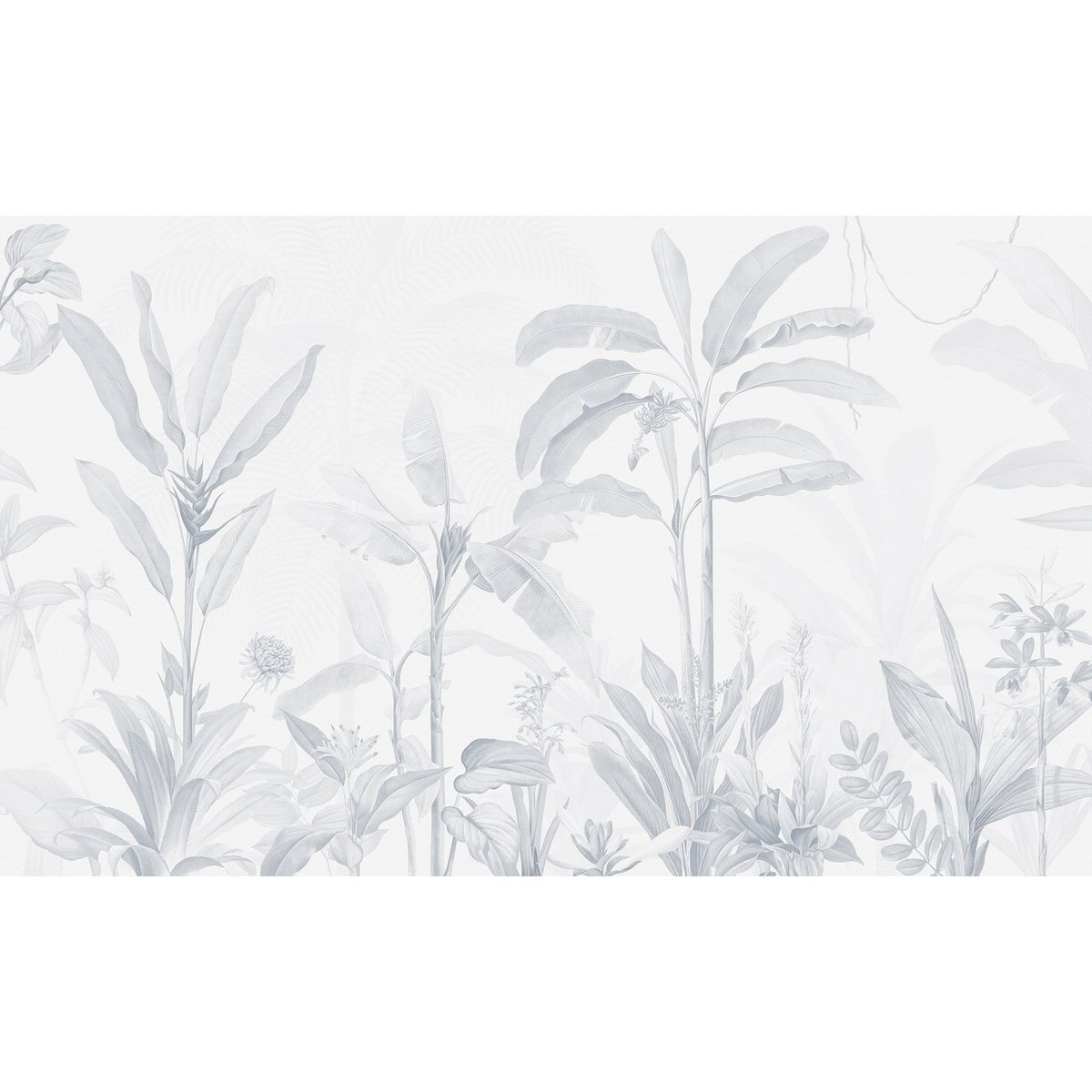 Honpo | Tropical Garden Honpo | Tropical Garden