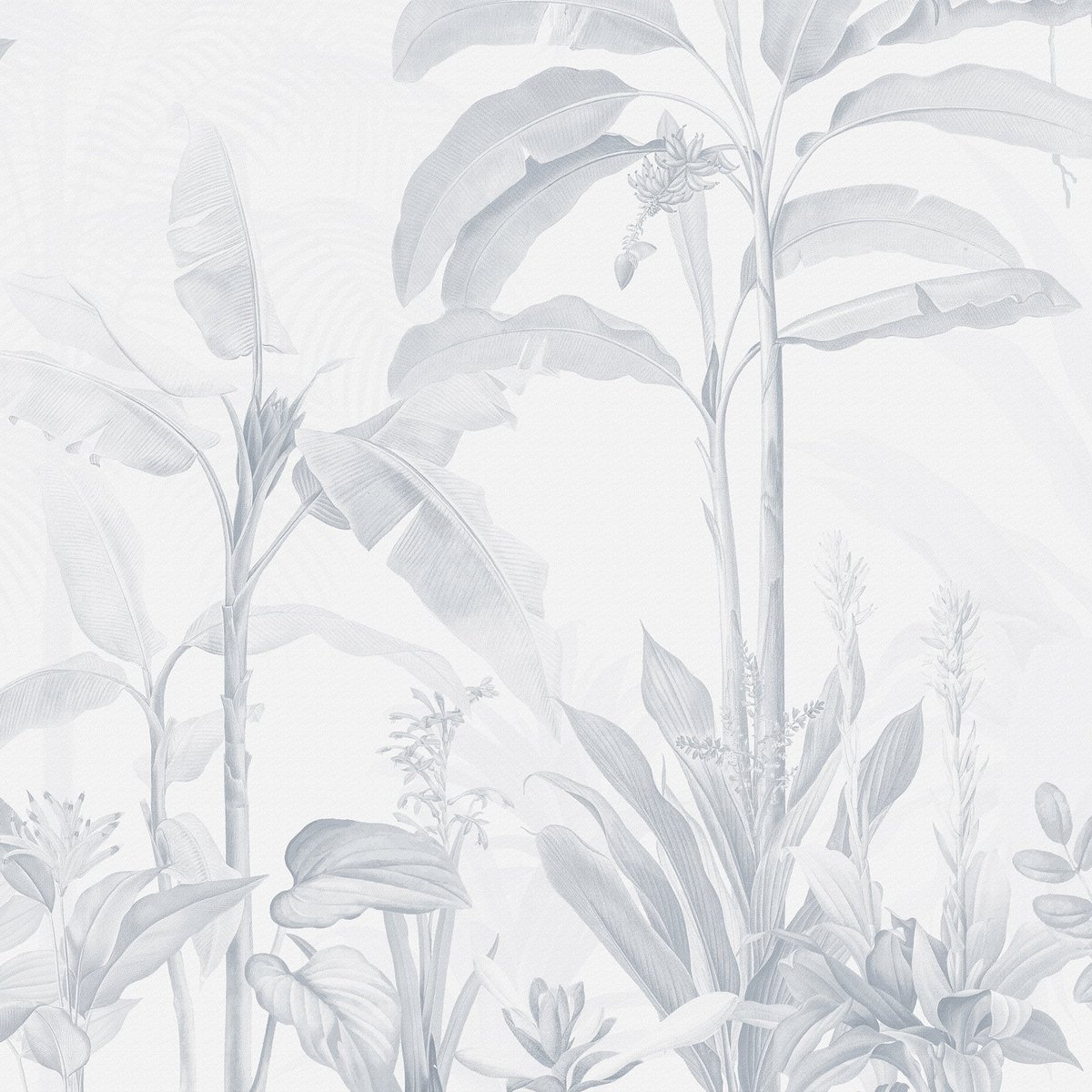 Honpo | Tropical Garden Honpo | Tropical Garden