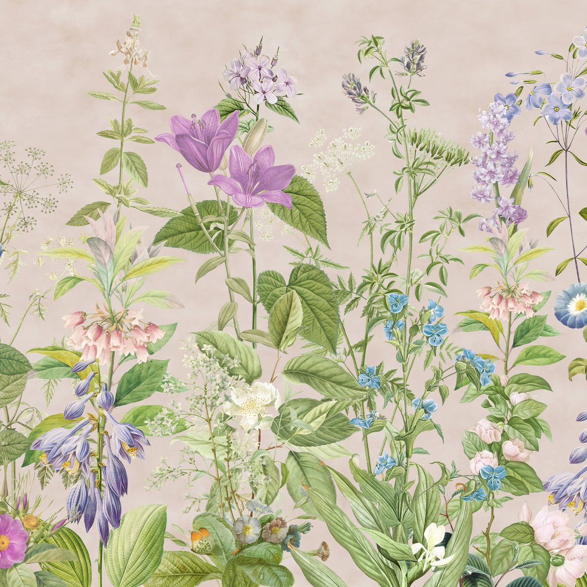 Honpo | The Wildflower Waltz Honpo | The Wildflower Waltz