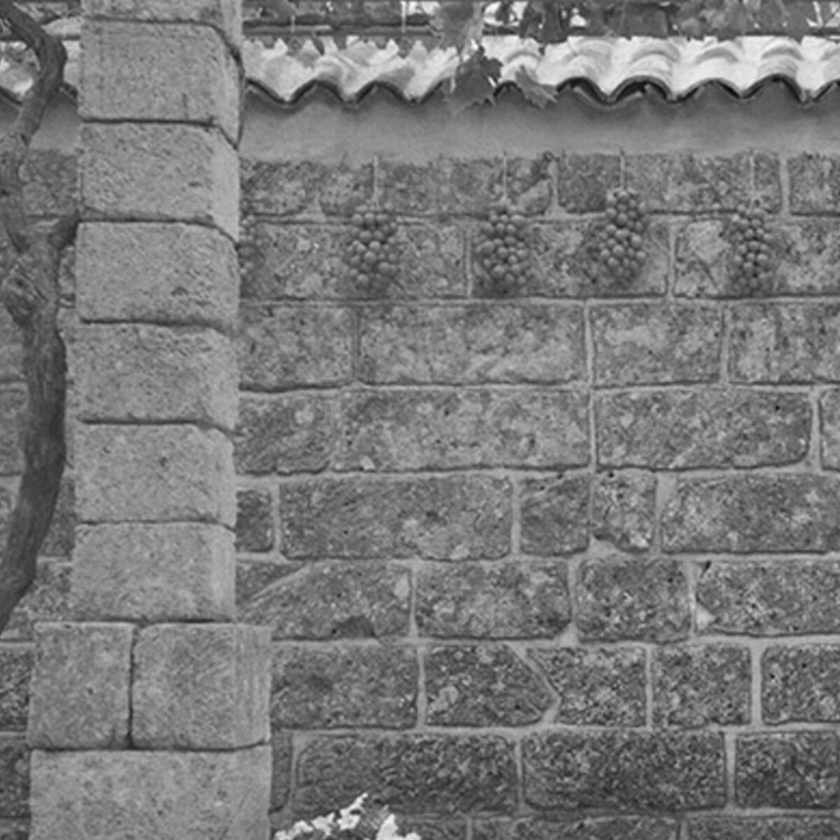 Affreschi & Affreschi | Carpe Diem | CD041 Affreschi & Affreschi | Carpe Diem | CD041