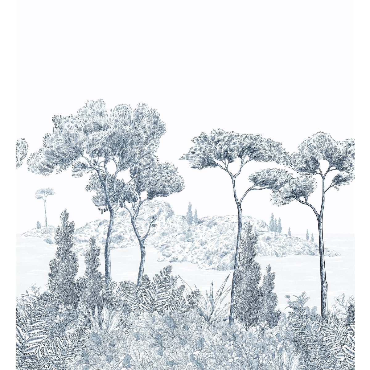 Honpo | Bosque Costero | HO-007 Honpo | Bosque Costero | HO-007