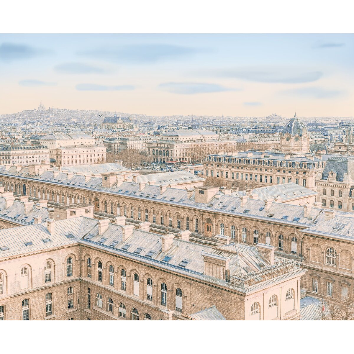 Honpo | Pantheon City Honpo | Pantheon City
