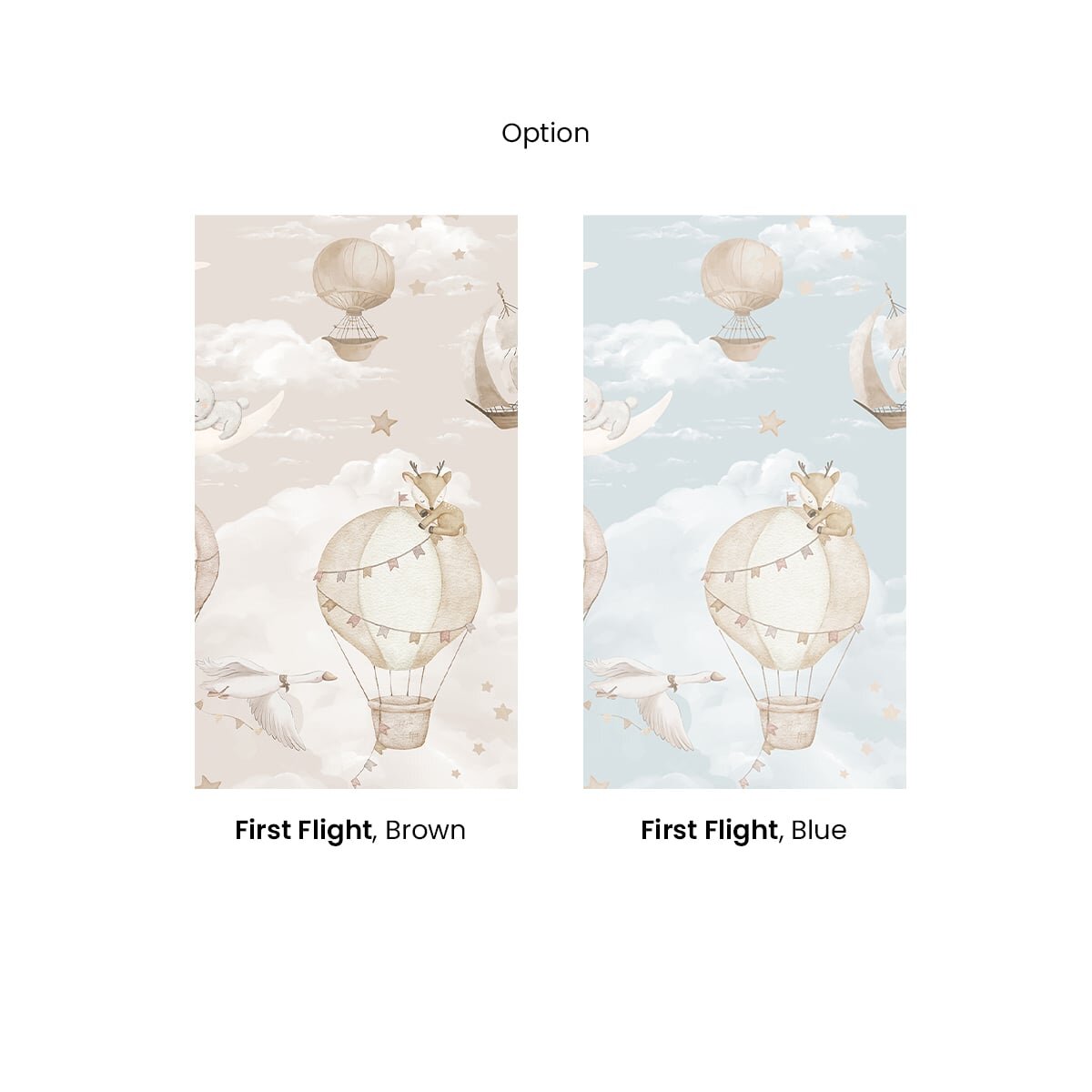 Honpo | First Flight Honpo | First Flight