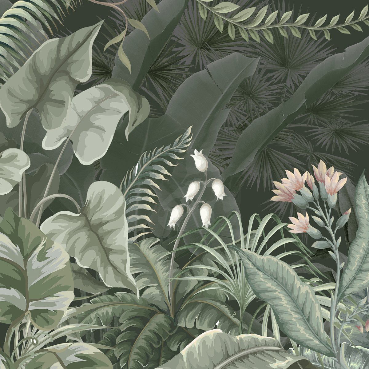 Honpo | Maison Tropica Honpo | Maison Tropica