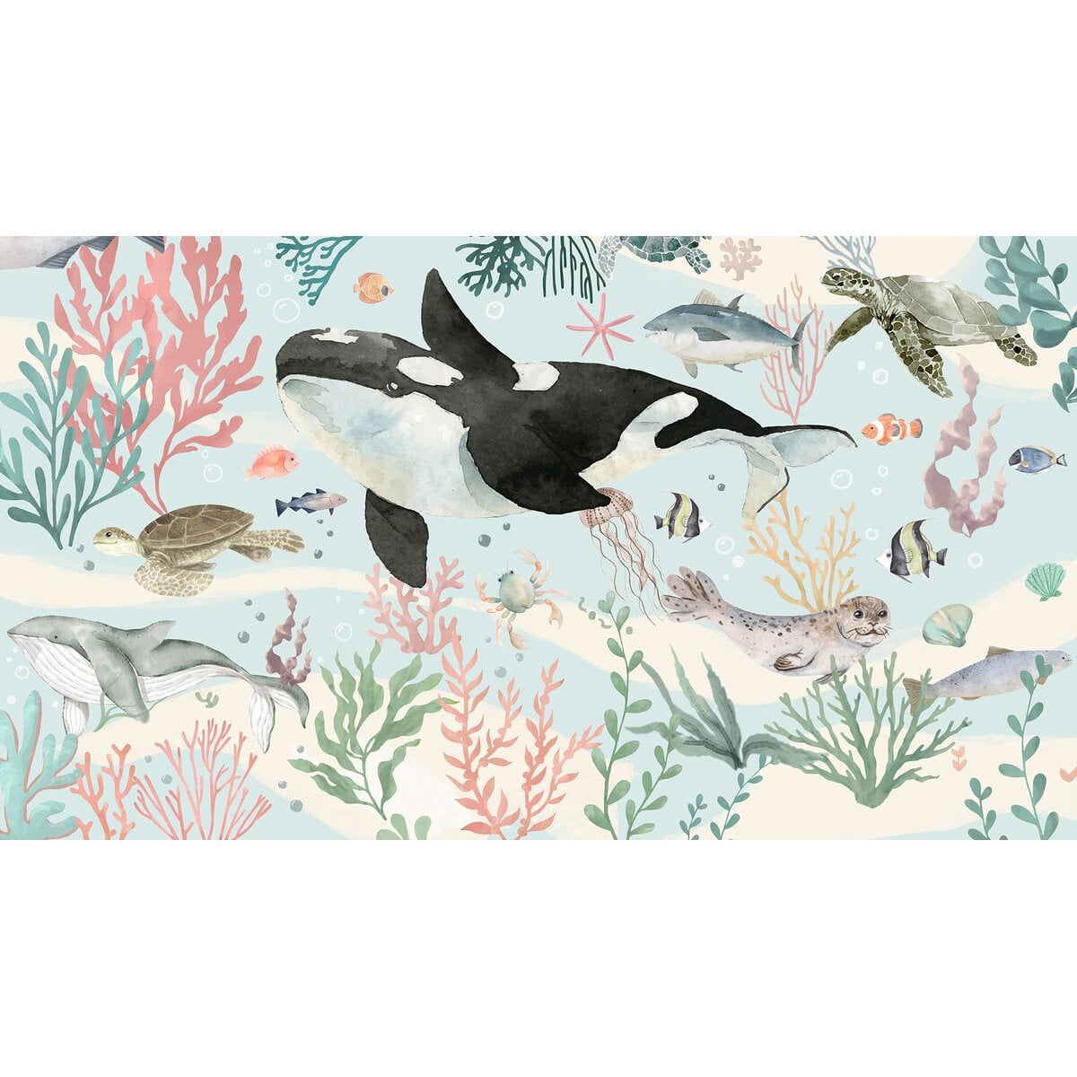 Honpo | My First Aquarium Honpo | My First Aquarium