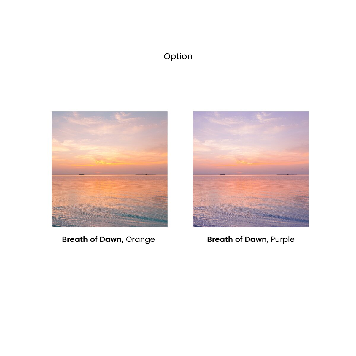 Honpo | Breath of dawn Honpo | Breath of dawn