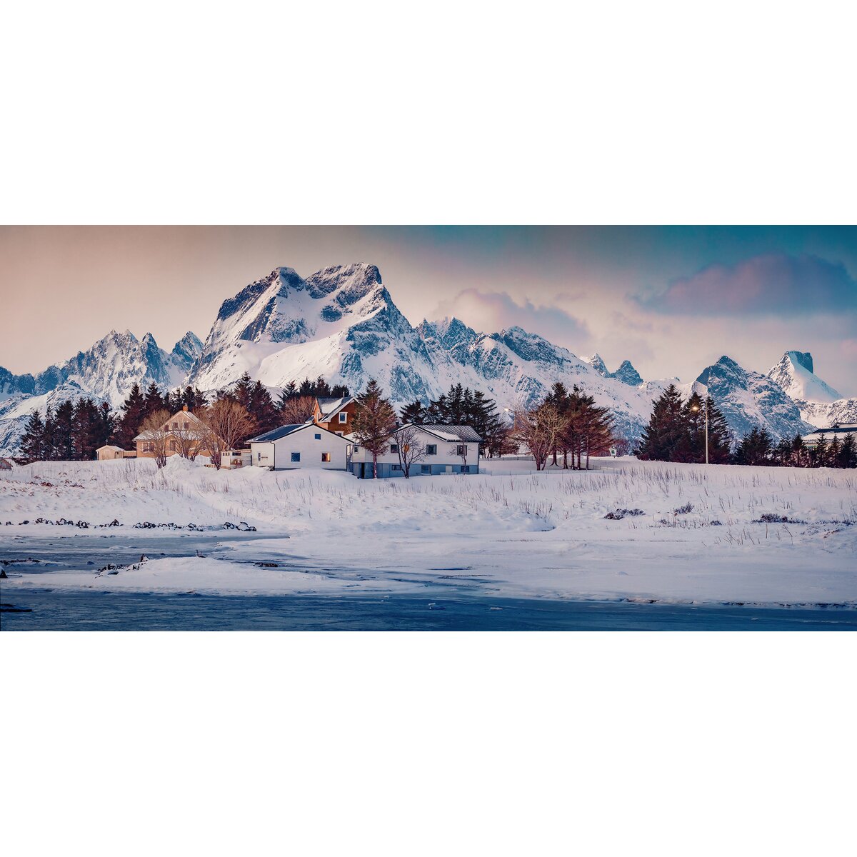 Honpo | Arctic Refuge Honpo | Arctic Refuge