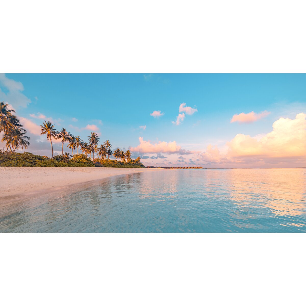 Honpo | Azure Shore Honpo | Azure Shore