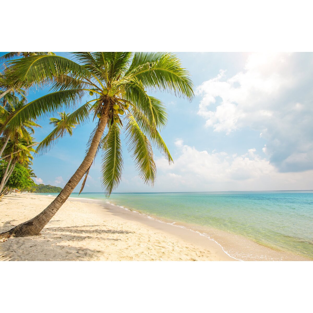 Honpo | Beach Honpo | Beach