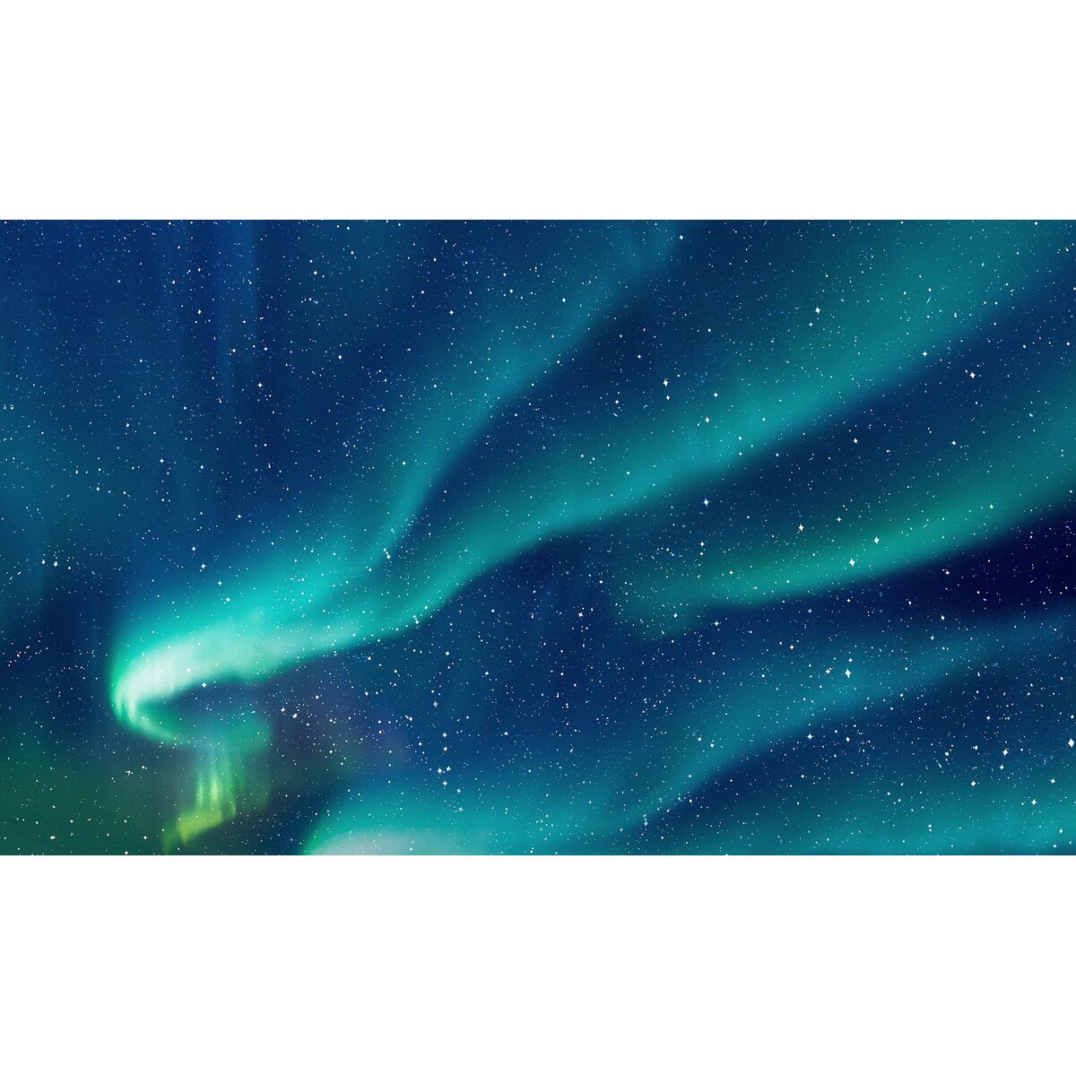 Honpo | Borealis Honpo | Borealis