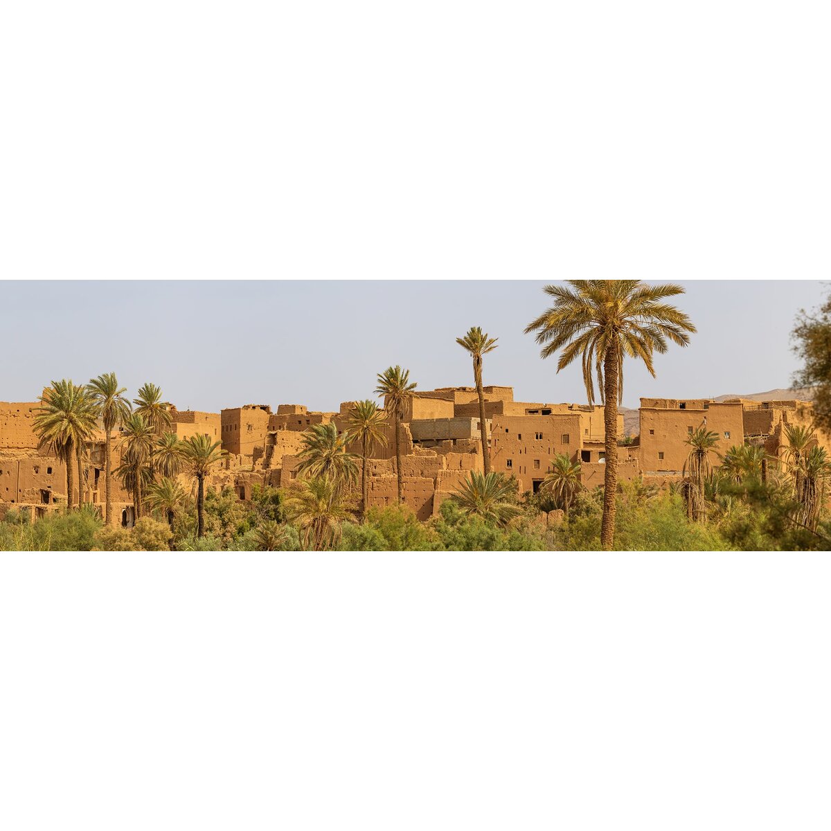 Honpo | Clay Oasis Honpo | Clay Oasis