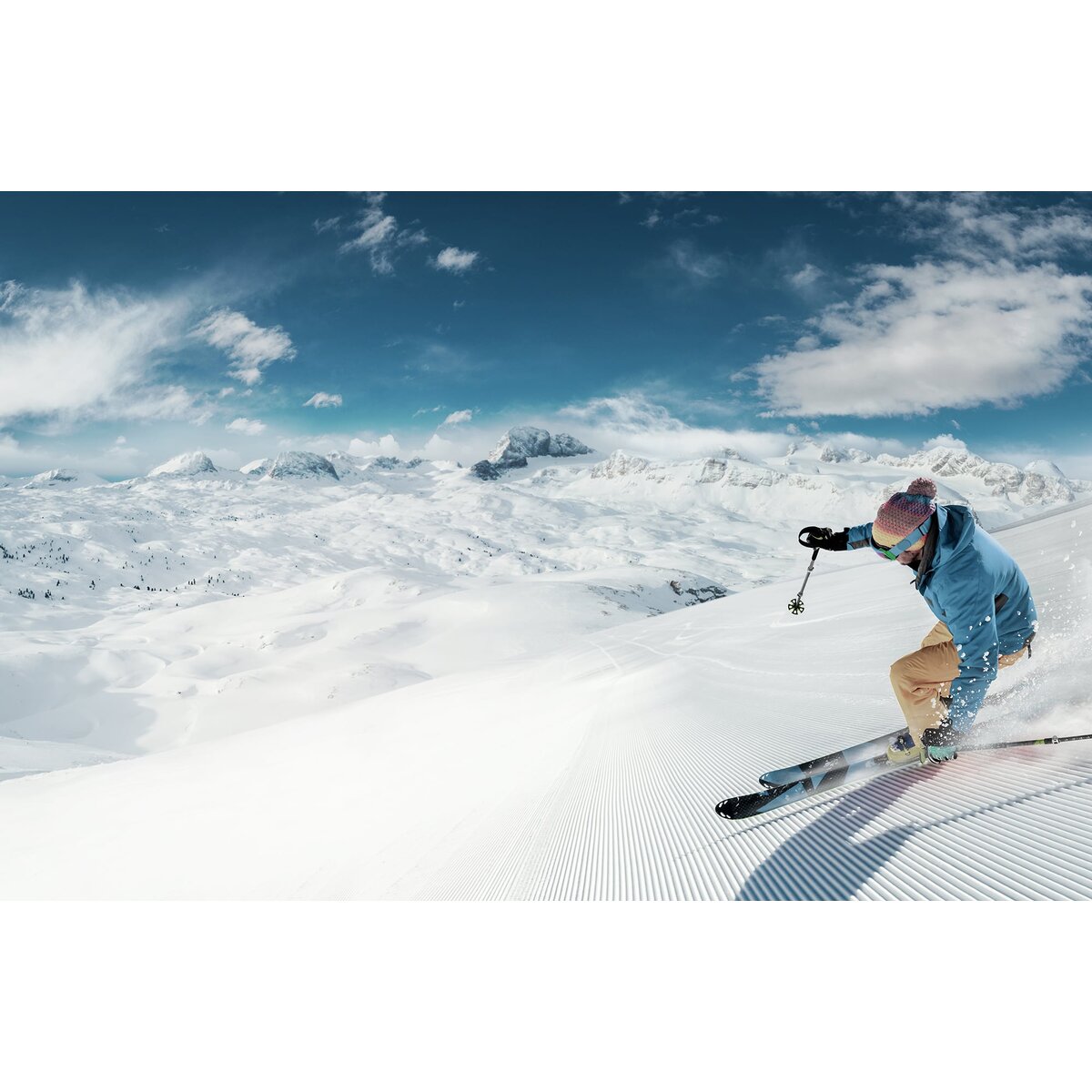Honpo | Peak Velocity Honpo | Peak Velocity