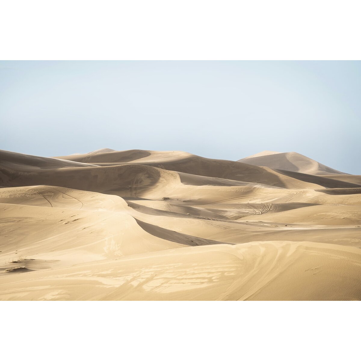 Honpo | Sand Dune Honpo | Sand Dune