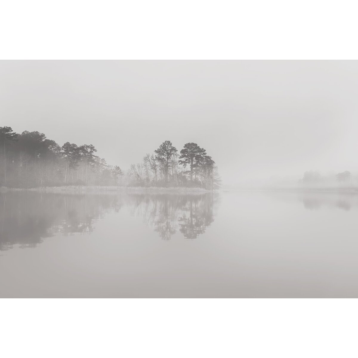 Honpo | Silent Water Honpo | Silent Water