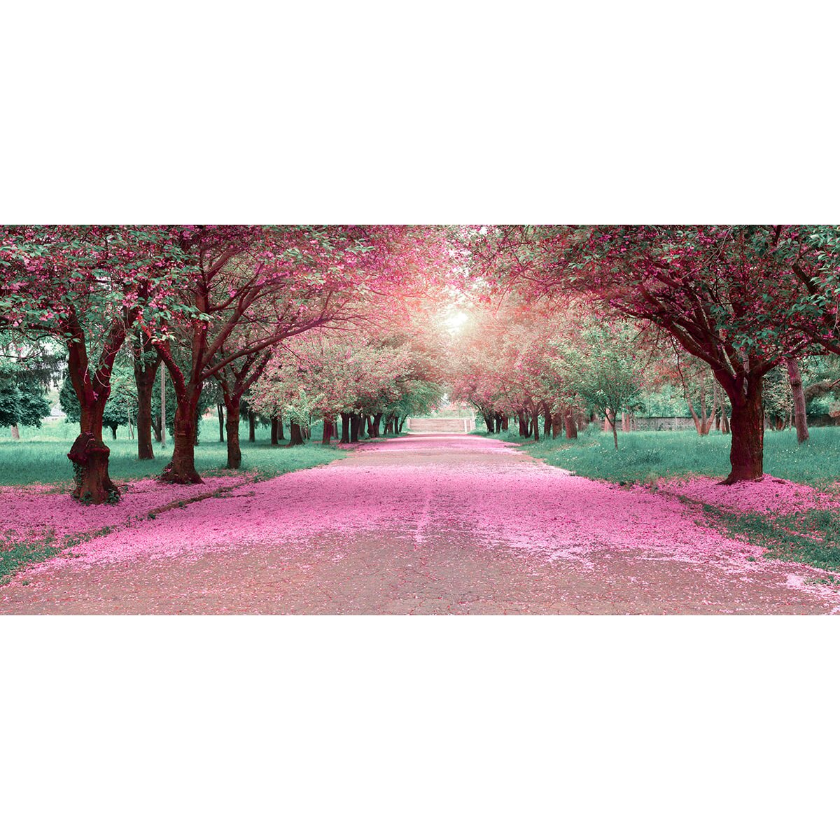 Honpo | Blossom Path Honpo | Blossom Path