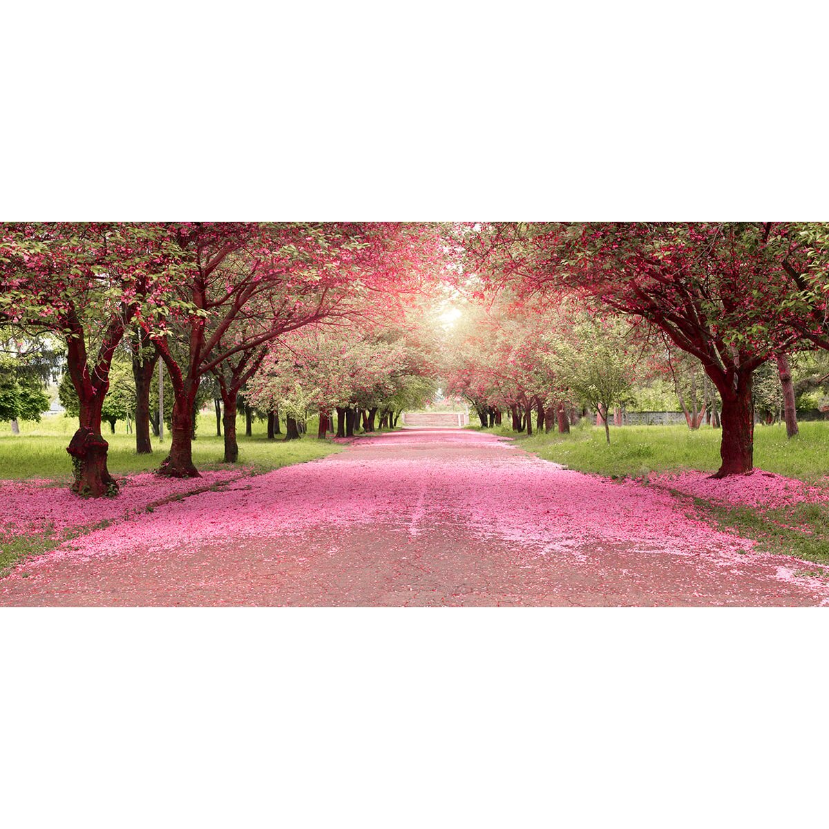 Honpo | Blossom Path Honpo | Blossom Path